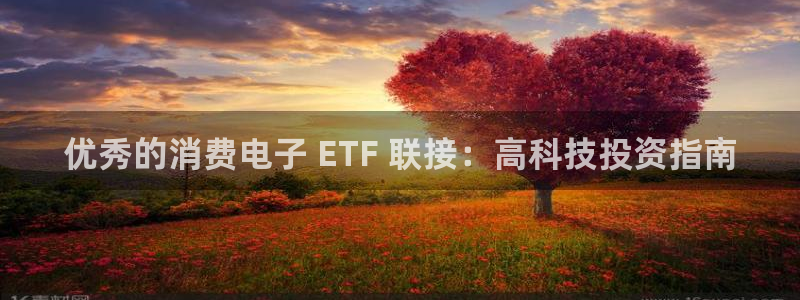 K8凯发·国际官方网站|优秀的消费电子 ETF 联接：高科技投资指南